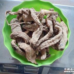 秦嶺下山純正特級(jí)野生干天麻.