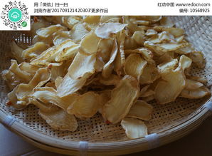 云南滿澤天麻片高清圖片下載 紅動網(wǎng)