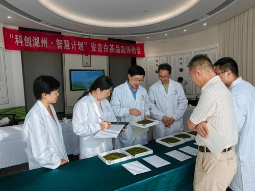 科創湖州 智慧計劃——中國茶葉學會茶產業服務團走進安吉活動策劃方案