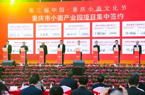 向新而行促消費，一季一節塑品牌——重慶大渡口區常態化促銷活動策劃服務解析