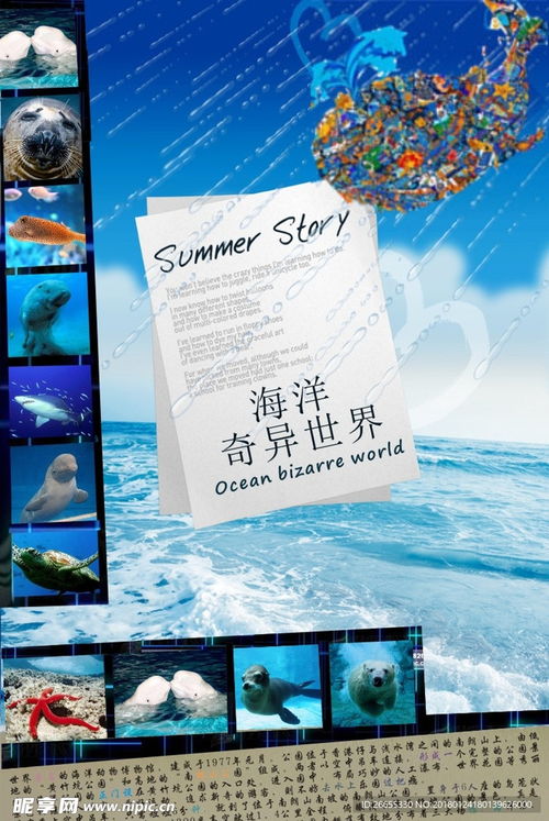 廣告設(shè)計(jì) 創(chuàng)意與策略的視覺(jué)融合